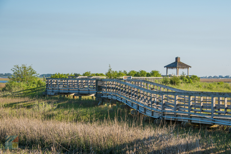 A view from the Marsh Walk in Southport, NC