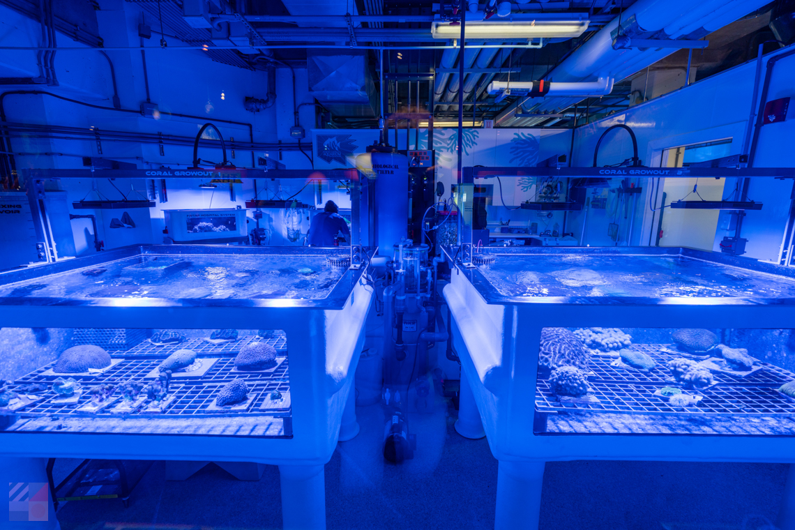 NC Aquarium Pine Knoll Shores