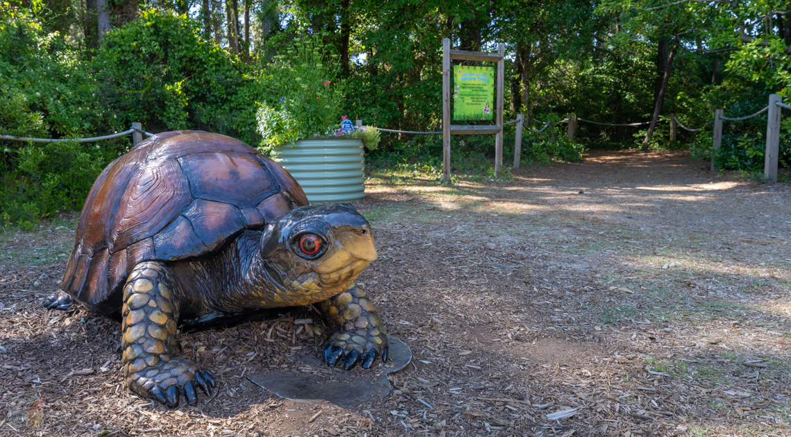 NC Aquarium on Roanoke Island