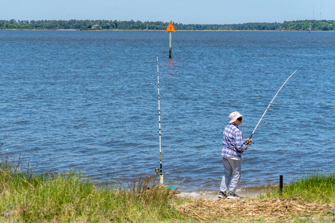 Carolina Beach State Park