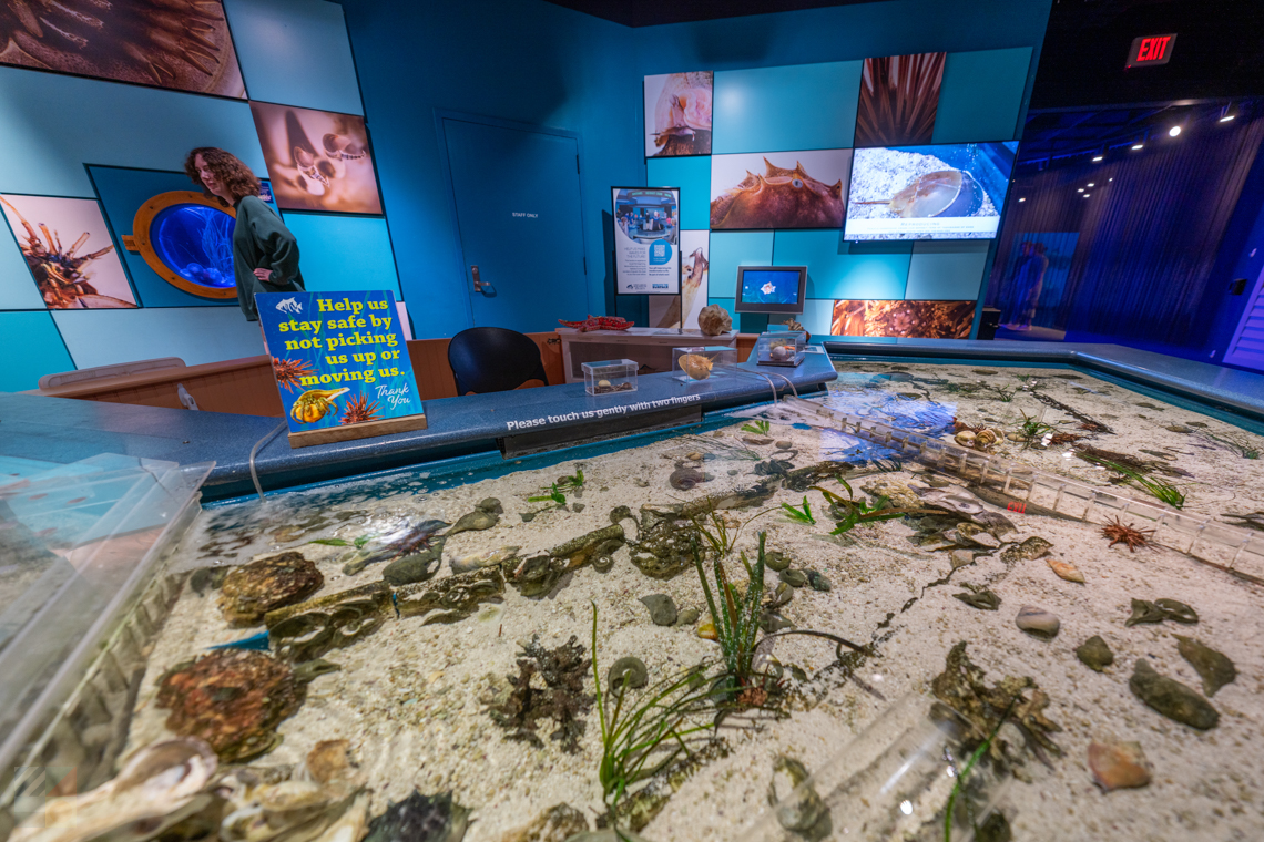 NC Aquarium on Roanoke Island