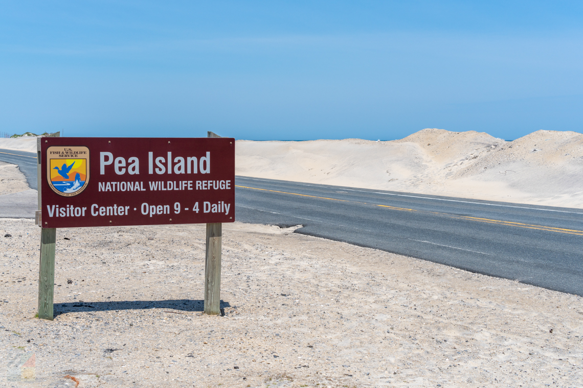 Pea Island National Wildlife Refuge
