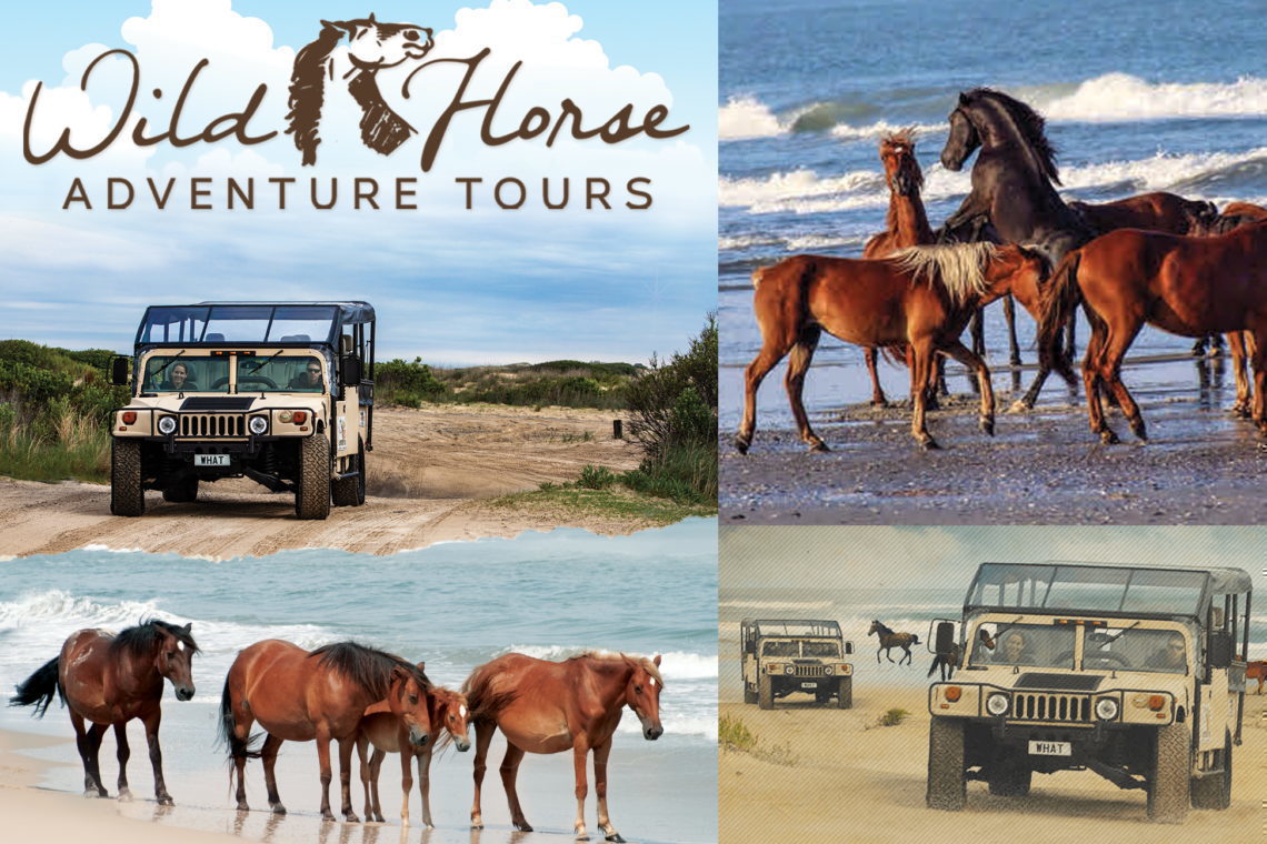 best wild horse tour outer banks