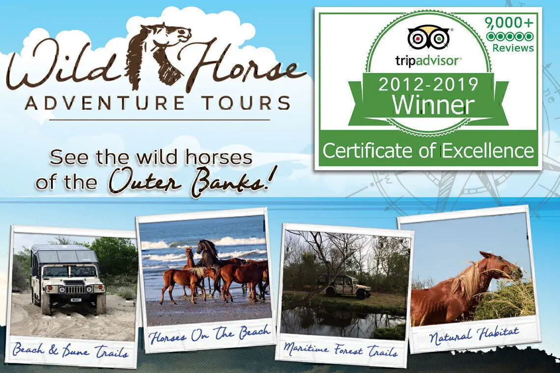 Wild Horse Adventure Tours