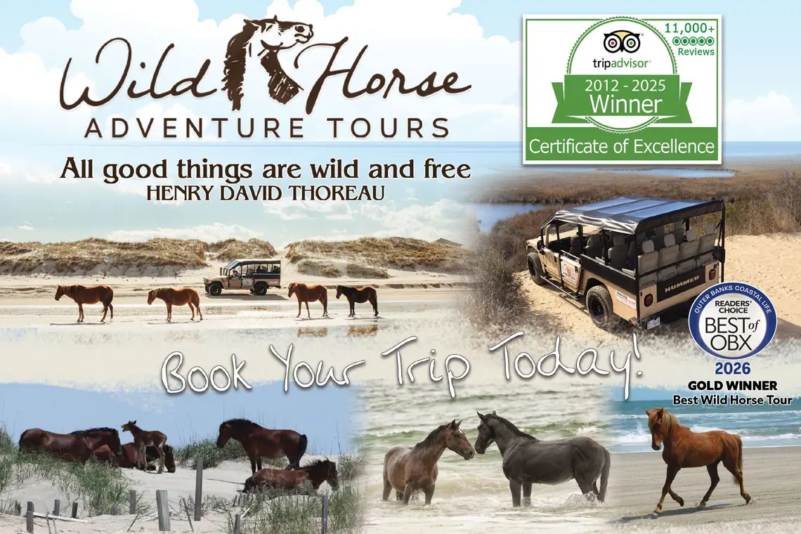Wild Horse Adventure Tours
