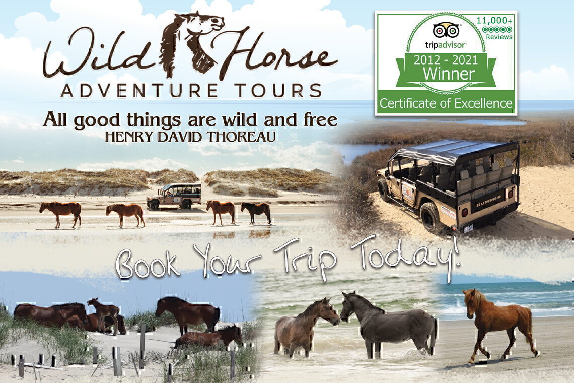Wild Horse Adventure Tours