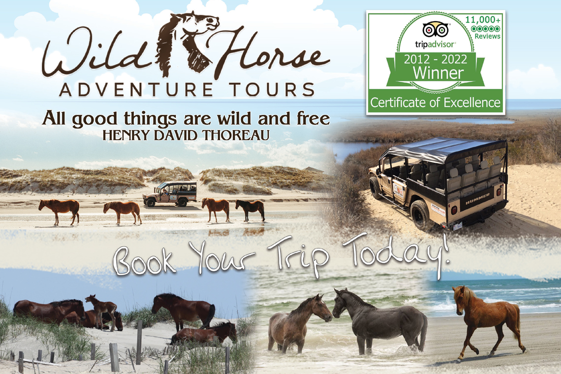 Wild Horse Adventure Tours