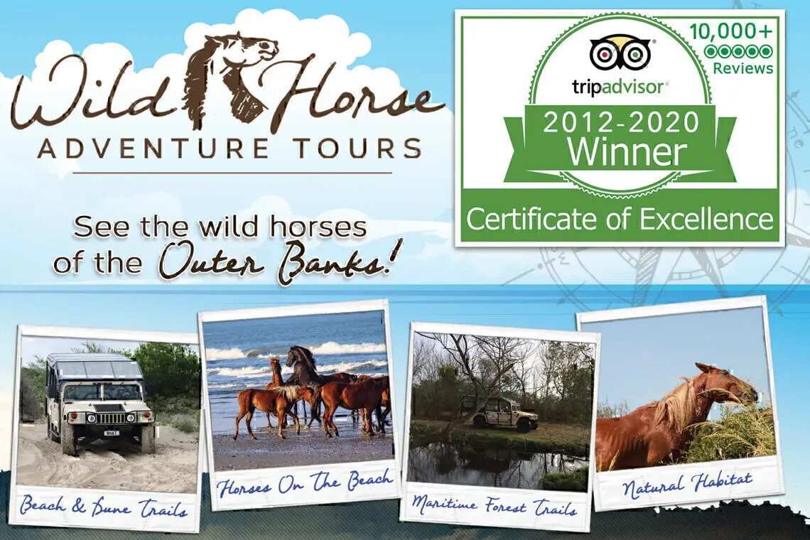 Wild Horse Adventure Tours