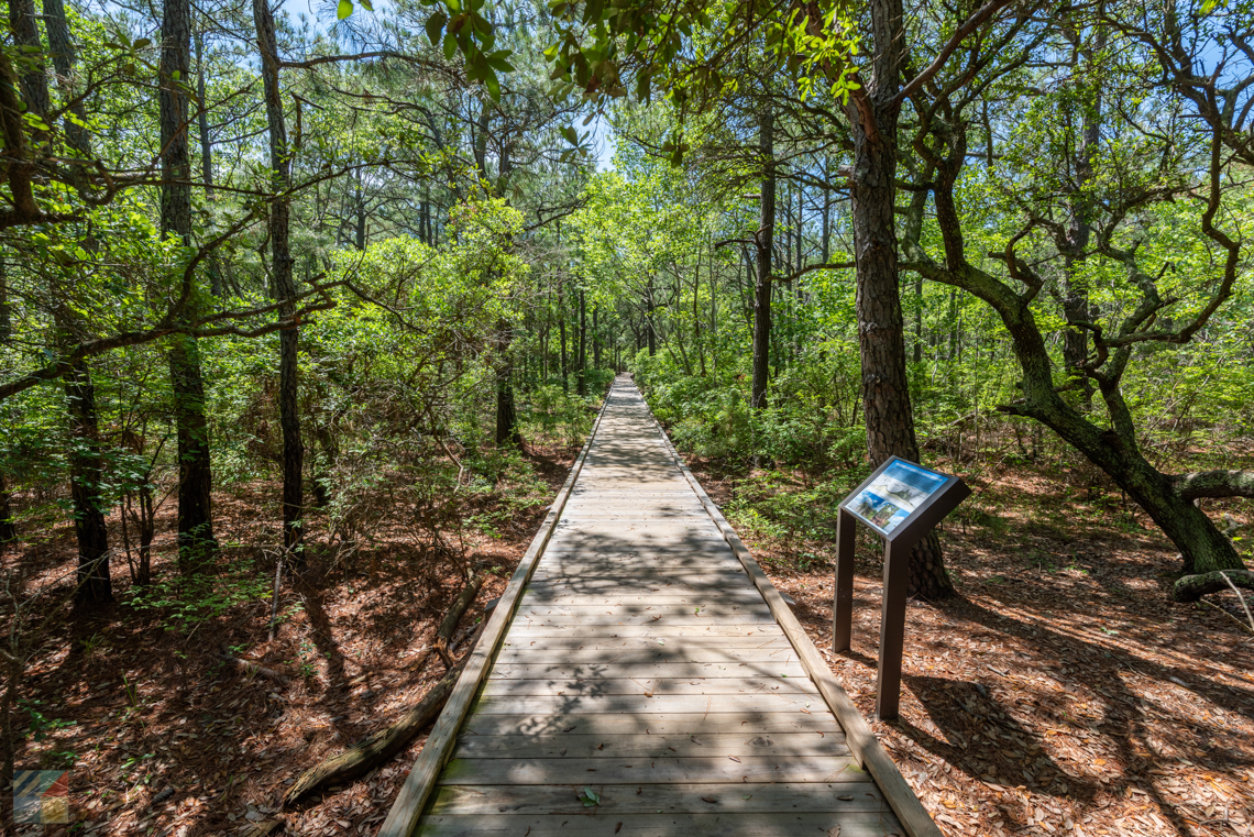 Currituck Banks Coastal Estuarine Reserve
