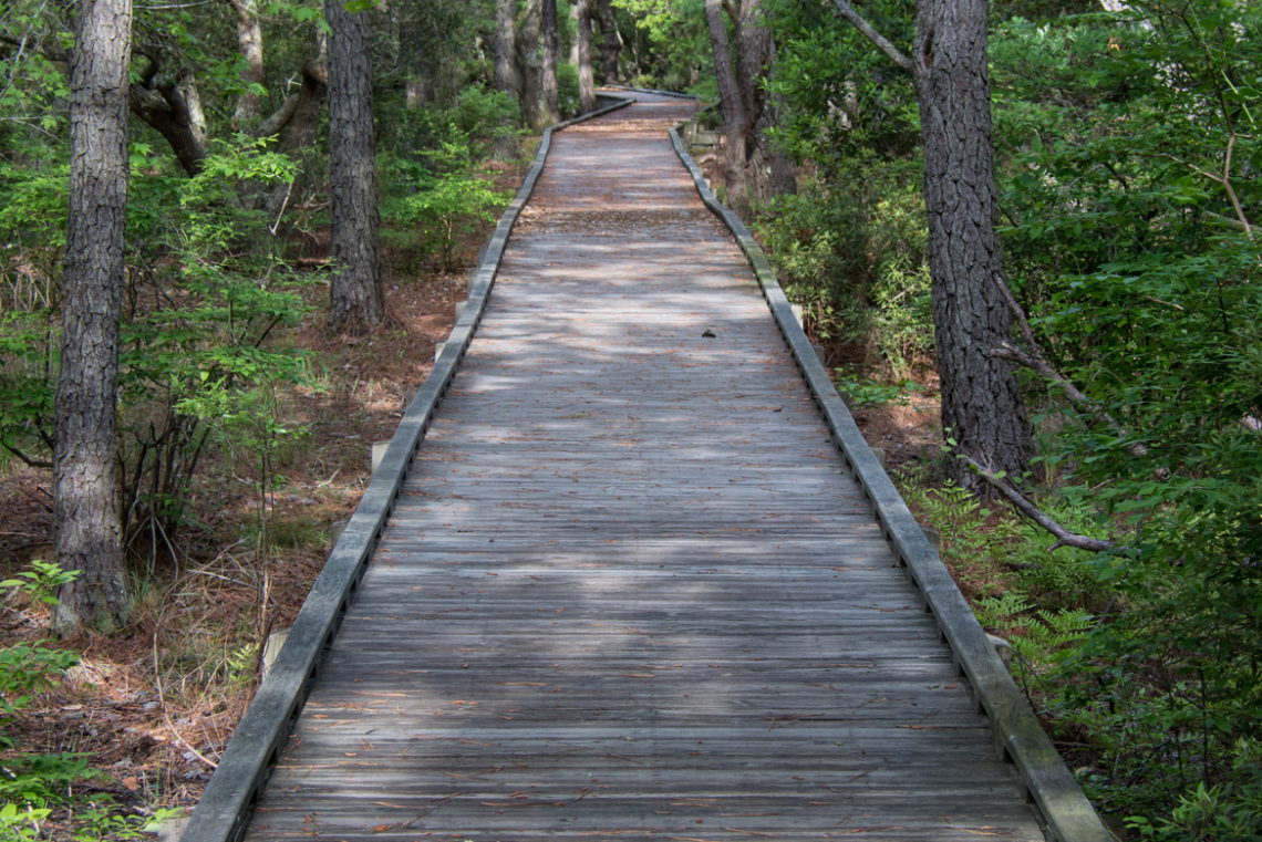 Currituck Banks Coastal Estuarine Reserve