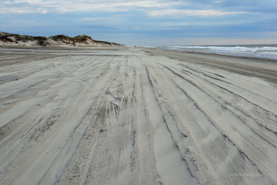 Currituck National Wildlife Refuge