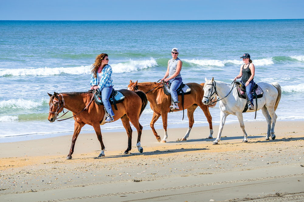 Equine Adventures - three friends on horseback