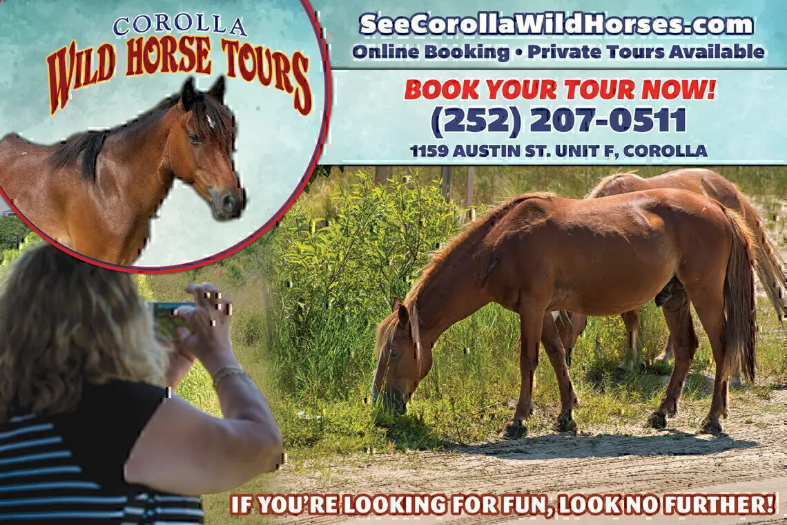 Corolla Wild Horse Tours