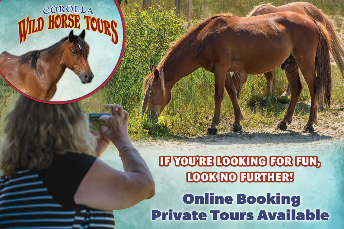 Corolla Wild Horse Tours