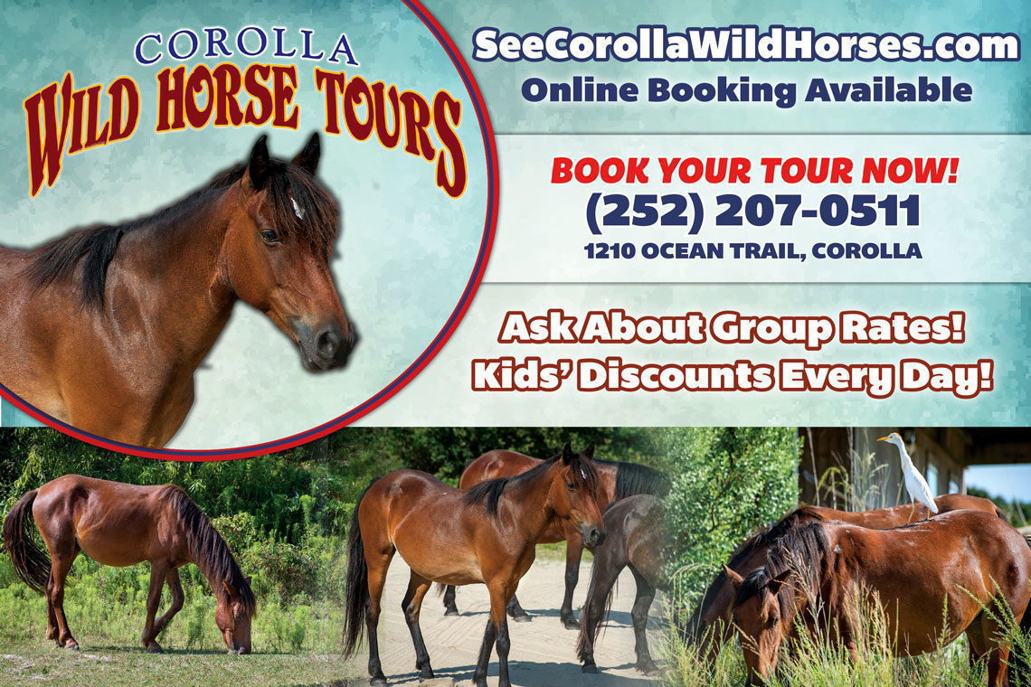 wild horse tour coupons
