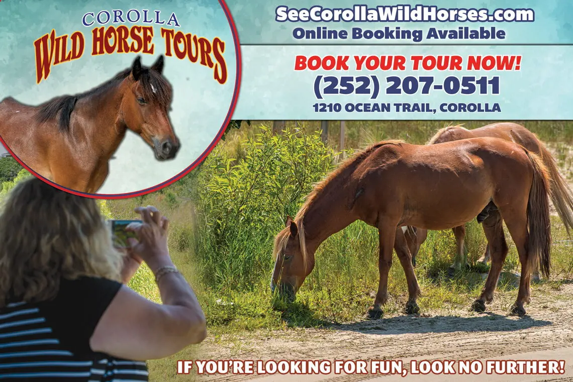 Corolla Wild Horse Tours