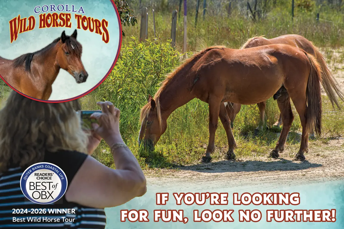 Corolla Wild Horse Tours