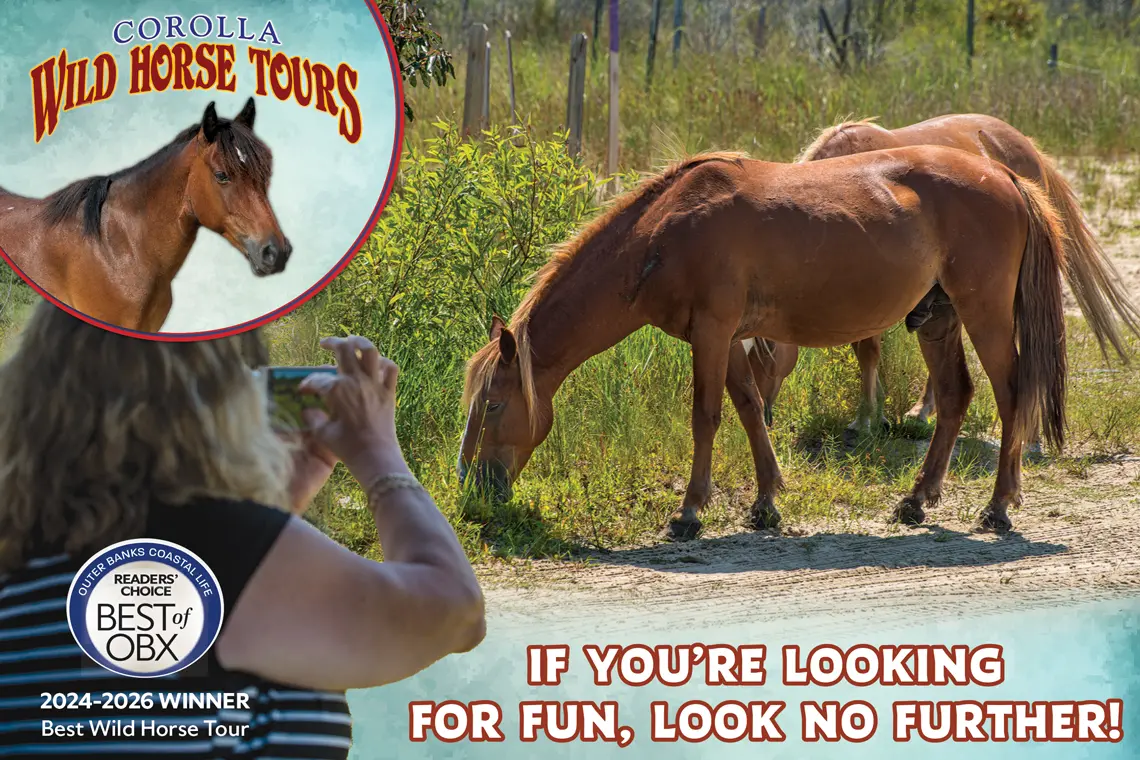 Corolla Wild Horse Tours