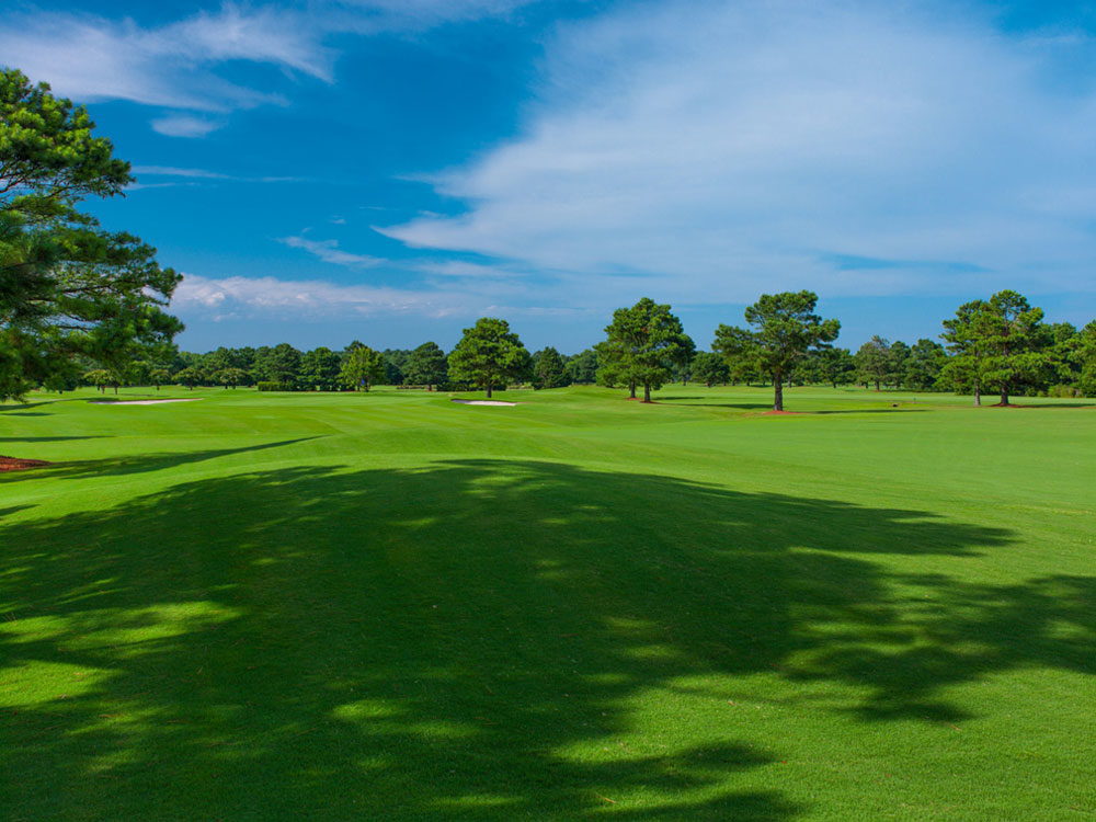 The Pointe Golf Club