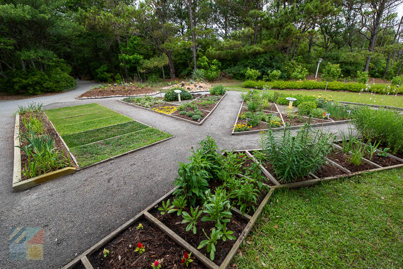 Outer Banks Arboretum and Teaching Garden