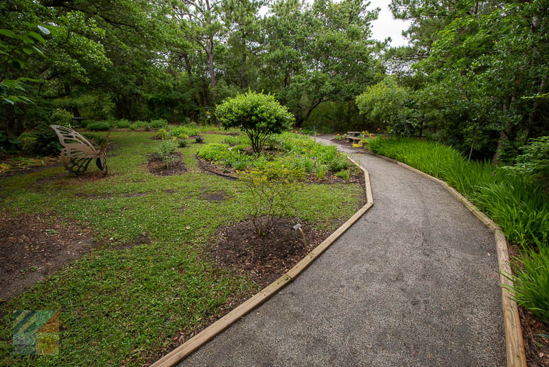 Outer Banks Arboretum and Teaching Garden