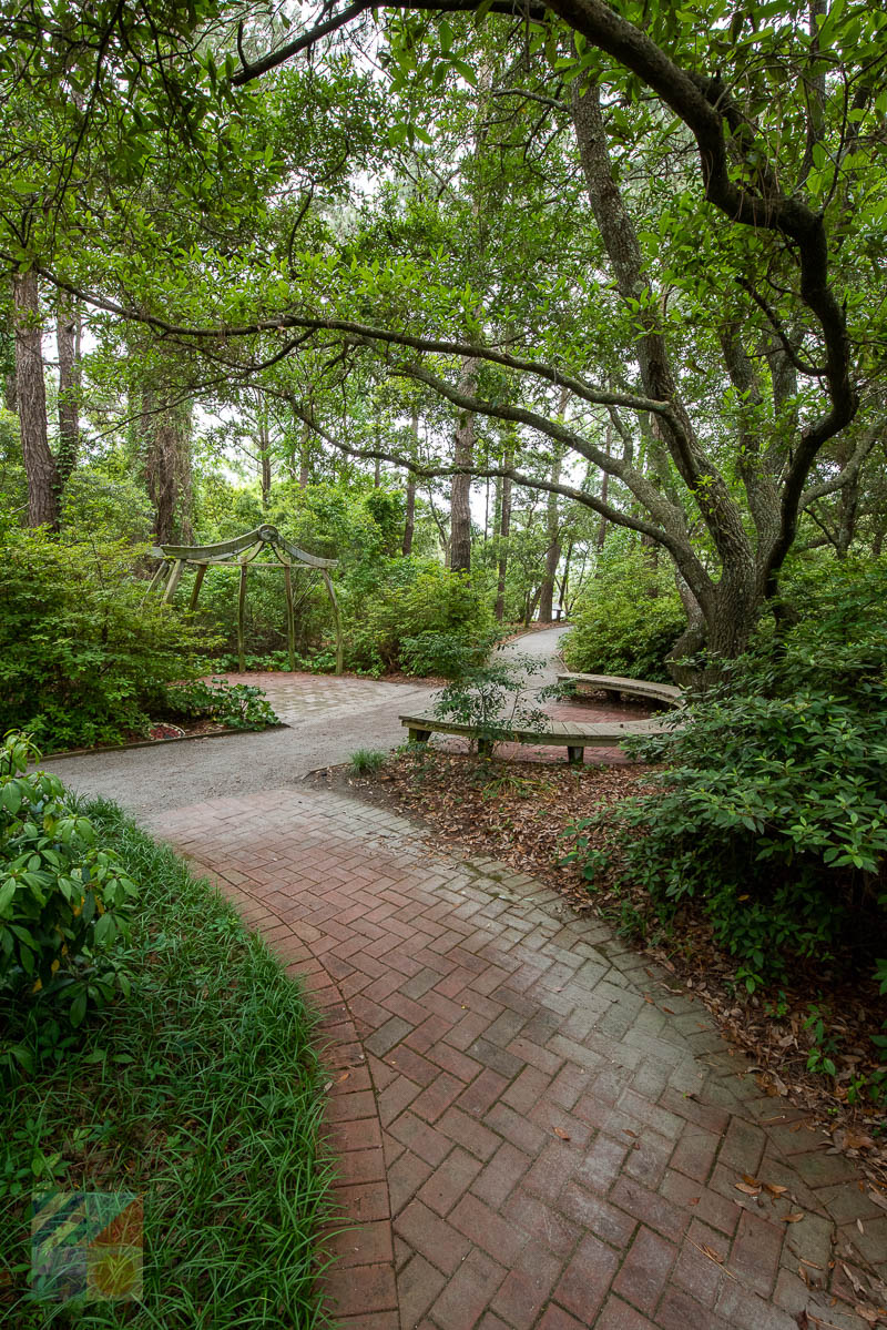 Outer Banks Arboretum and Teaching Garden