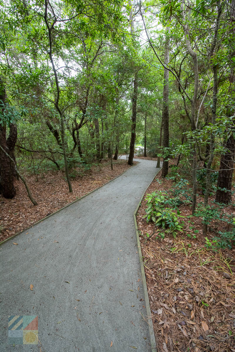 Outer Banks Arboretum and Teaching Garden