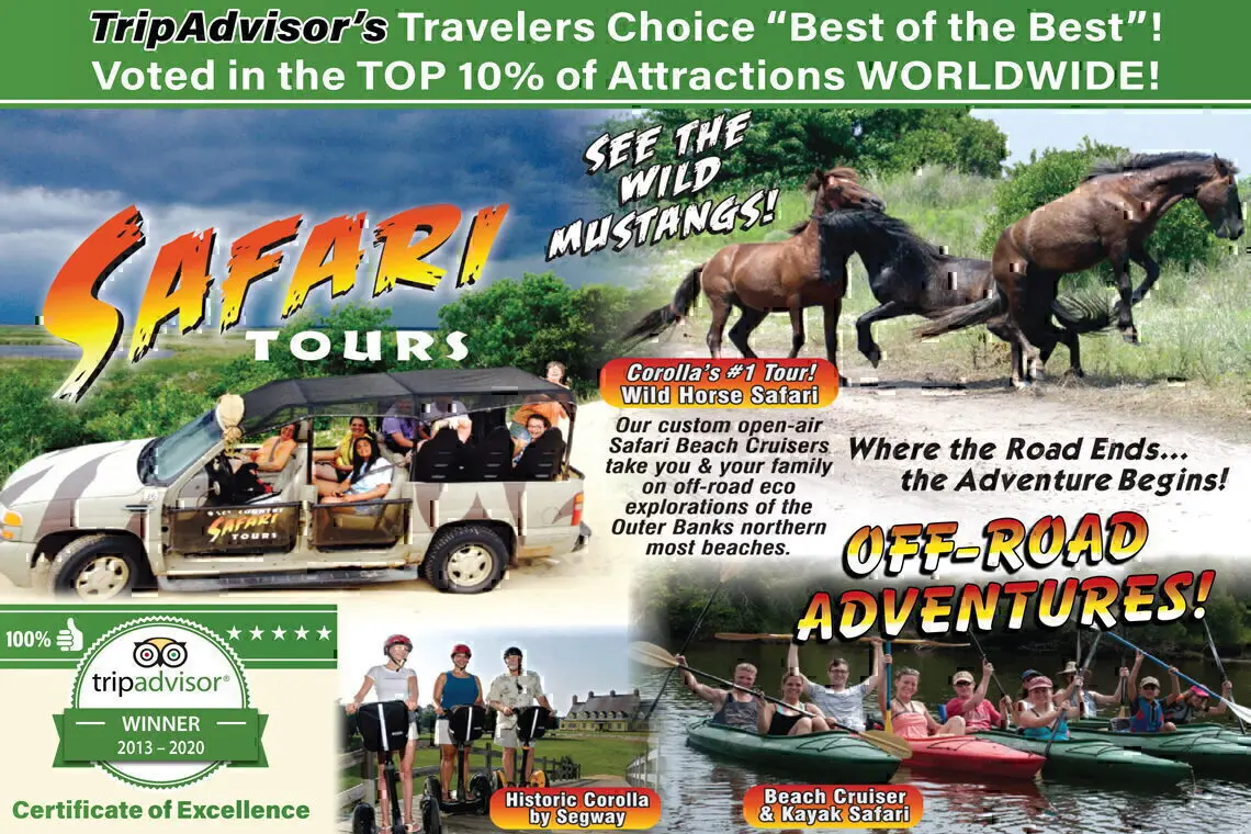 Back Country Safari Tours