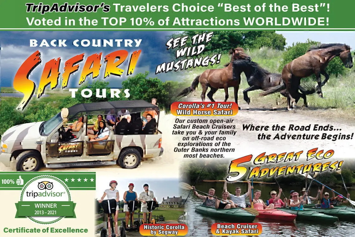 Back Country Safari Tours