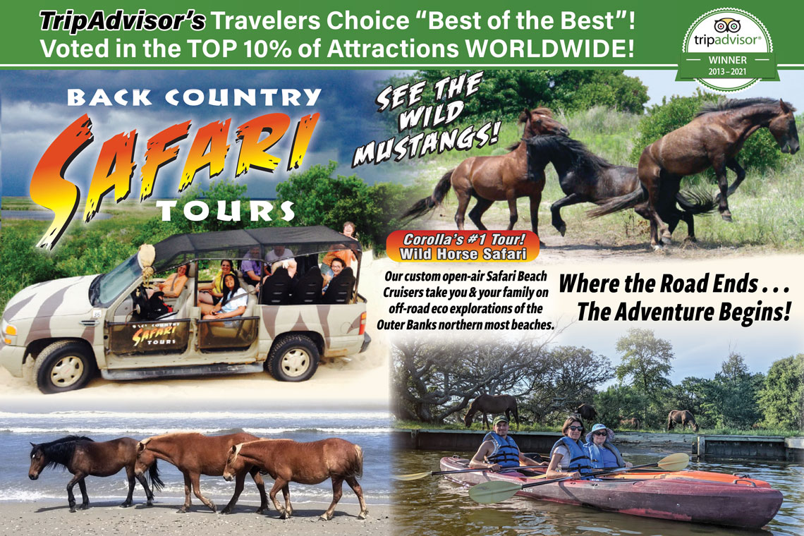 Back Country Safari Tours