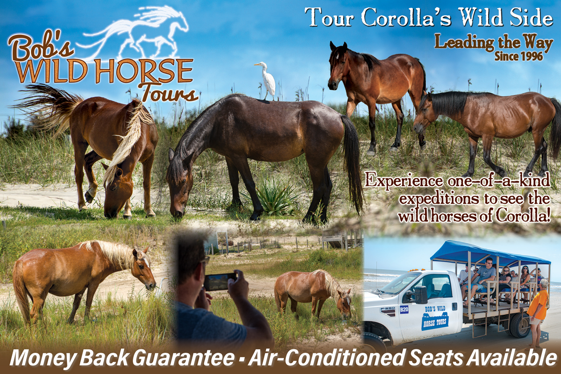 Bob's Wild Horse Adventure Tours