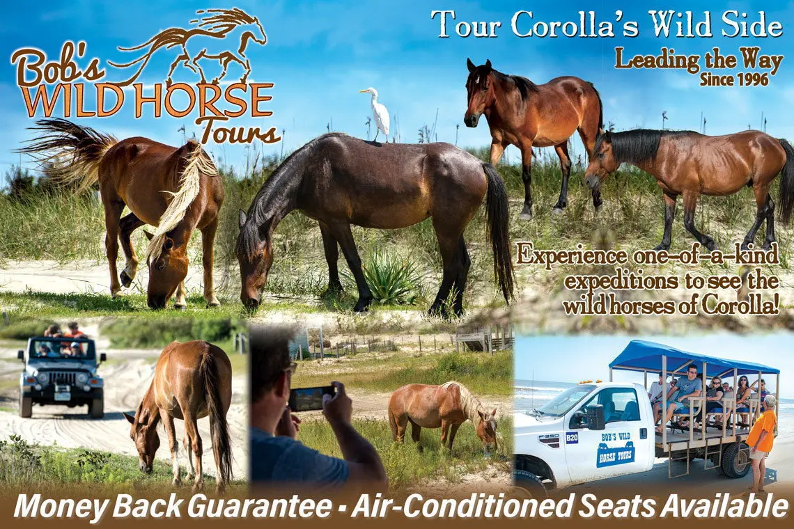 Bob's Wild Horse Adventure Tours