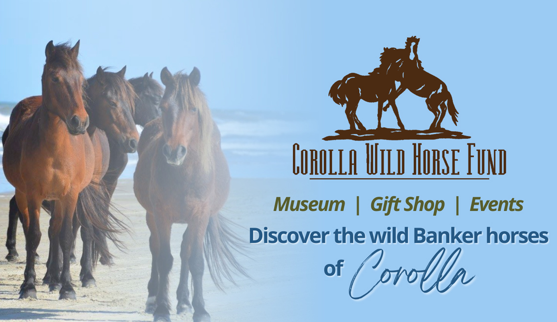 Corolla Wild Horse Fund