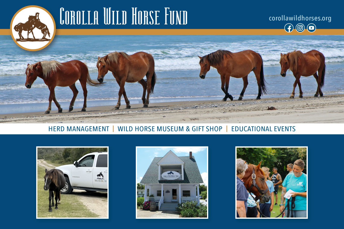 Corolla Wild Horse Fund