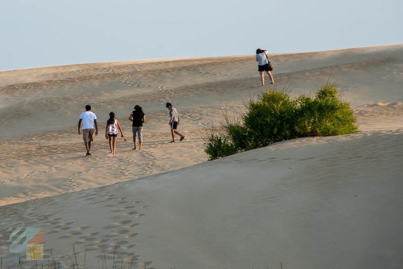 Jockeys Ridge State Park