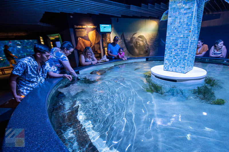 North Carolina Aquarium at Pine Knoll Shores - OuterBanks.com
