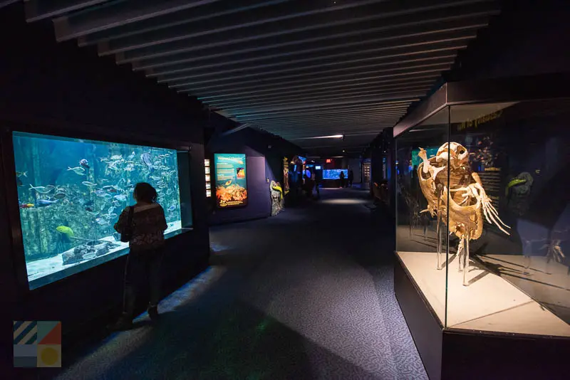 North Carolina Aquarium at Pine Knoll Shores