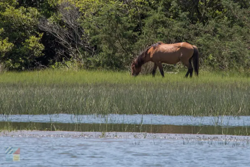 Rachel Carson Coastal Reserve