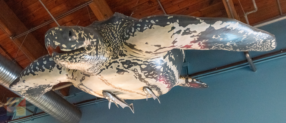 NC Aquarium on Roanoke Island