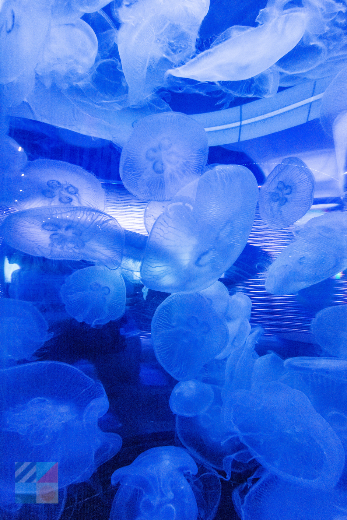 NC Aquarium on Roanoke Island
