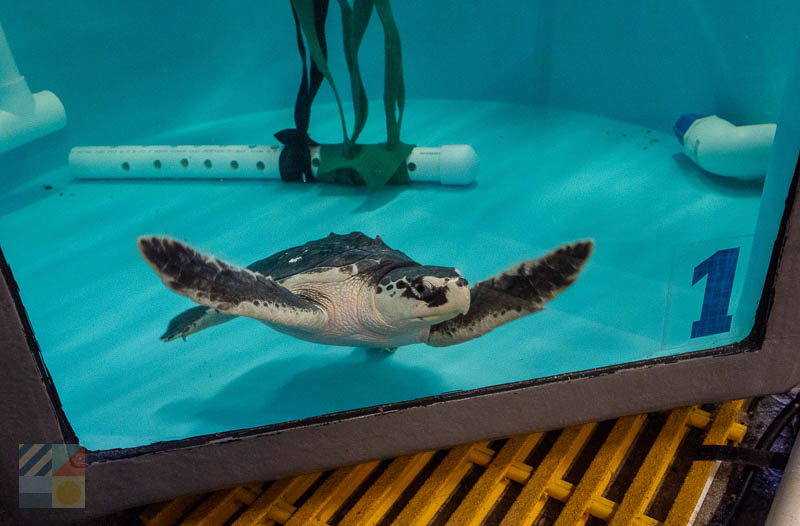 NC Aquarium on Roanoke Island