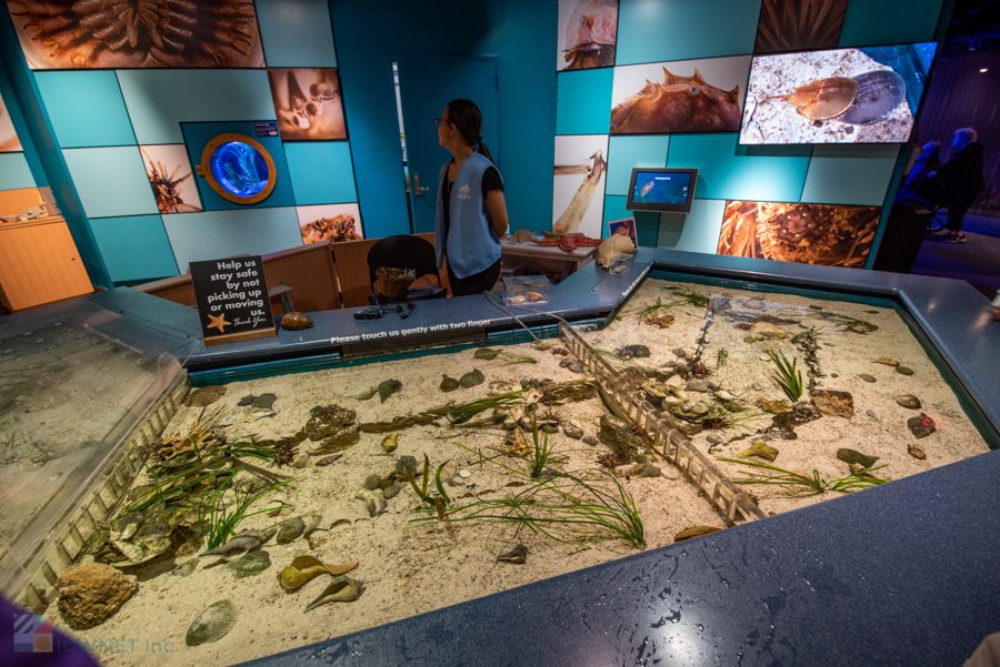 NC Aquarium on Roanoke Island