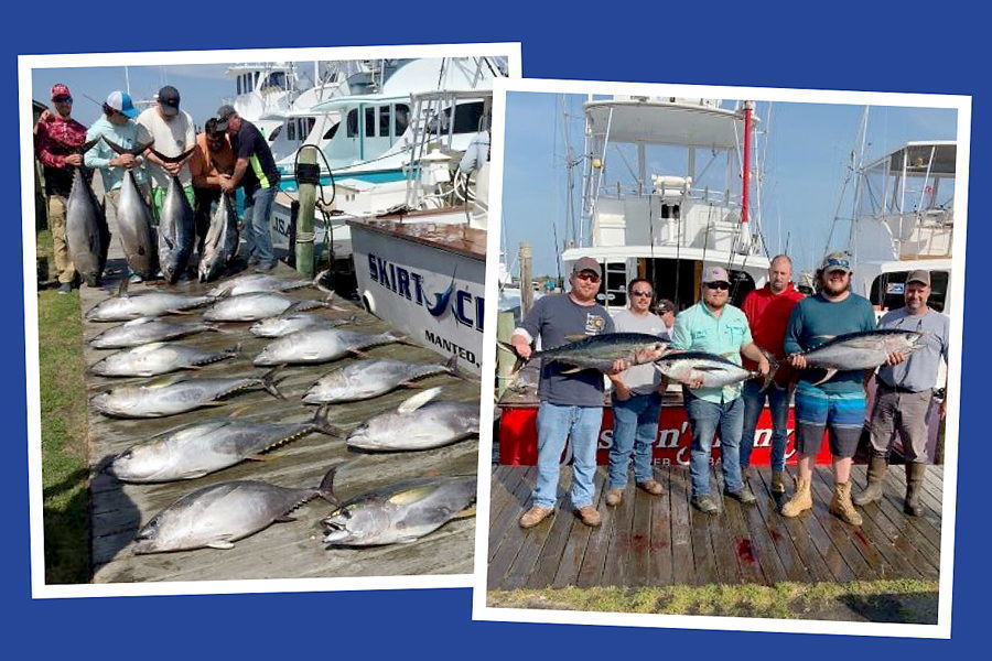 Photos of catches out of Oregon Inlet Fishing Center