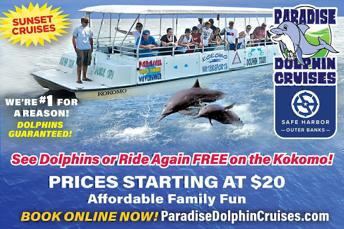paradise dolphin cruise dunedin