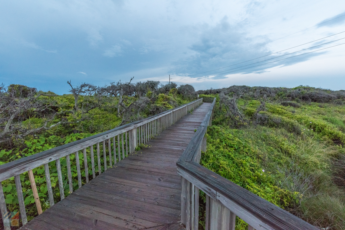 Pea Island NWR trail