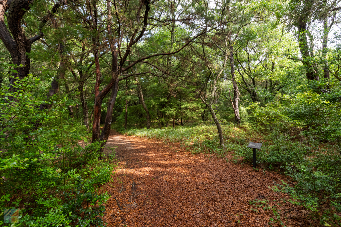 Buxton Woods