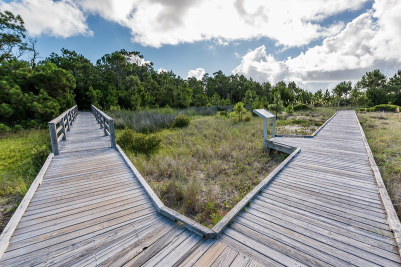 Platform walkways allow easy access to the attractions at Cape Lookout Lighthouse