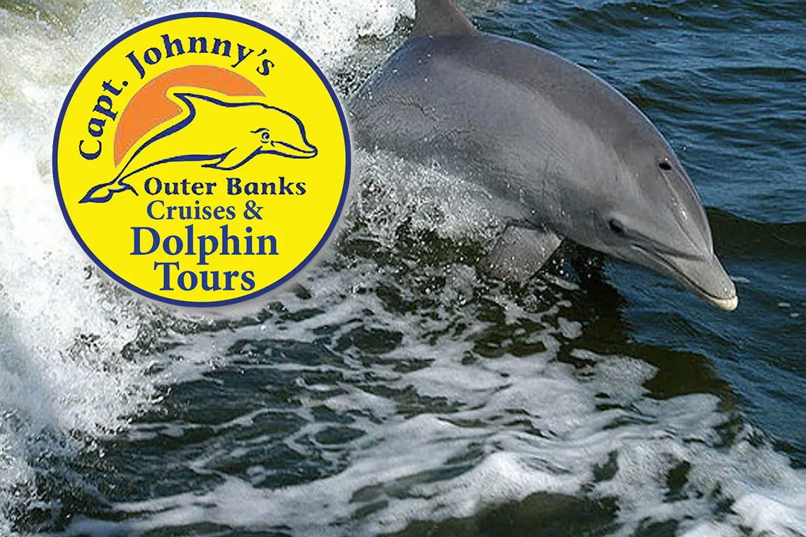 Coupon dolphin research