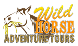 Wild Horse Adventure Tours