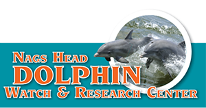Nags Head Dolphin Watch